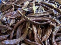 Keçi Boynuzu Hapı Kullanımı ve Faydaları Nelerdir?